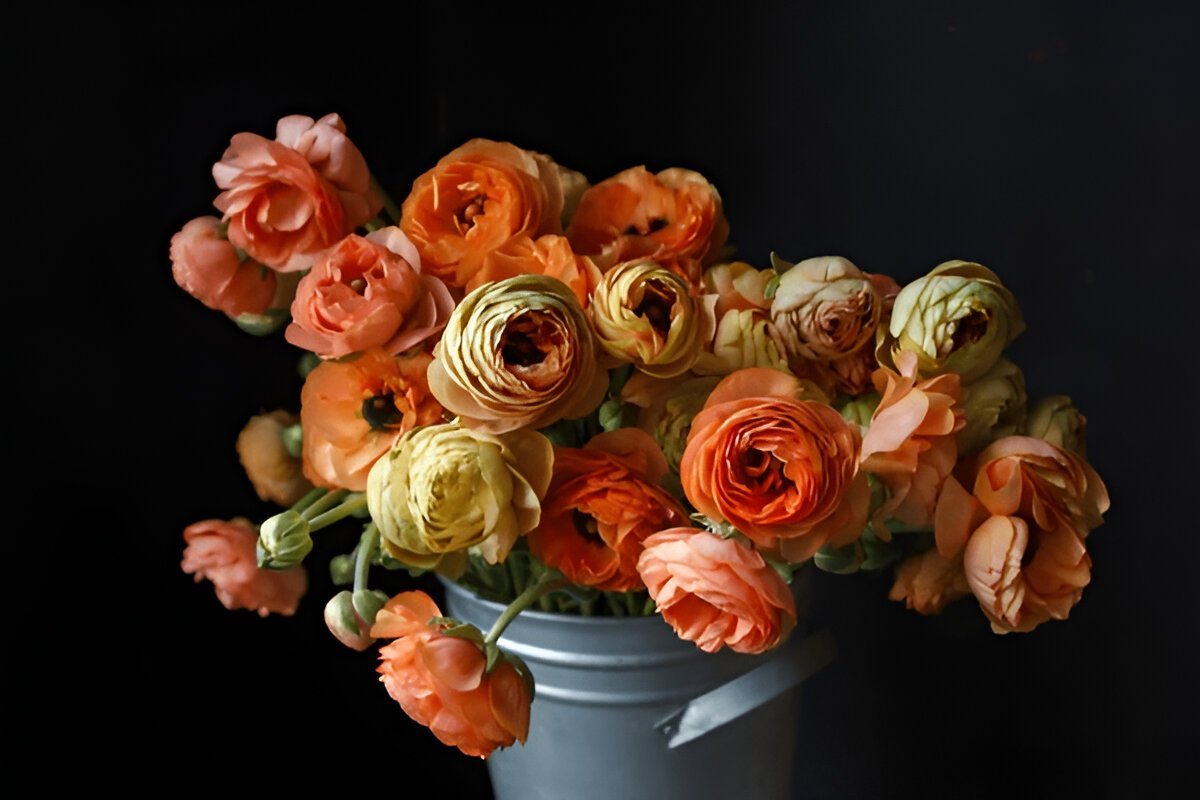 листівка з гарними розами для дівчини