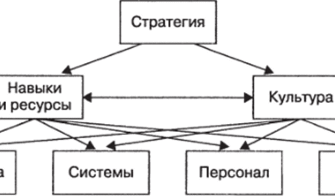Організаційні зміни: стратегія адаптації та успіху в бізнесі