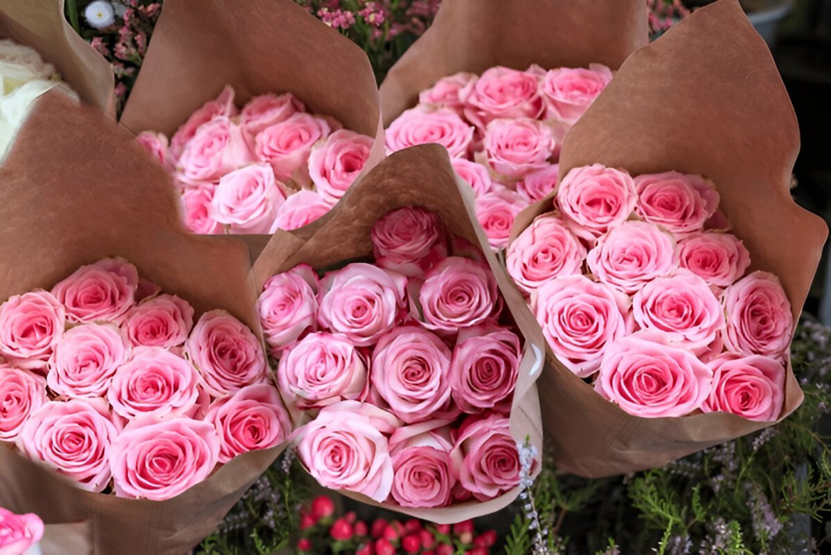 Гарного ранку в середу: натхнення, картинки та коротка проза для вас Гарного ранку в середу: натхнення, картинки та коротка проза для вас