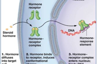 Реактивні зміни клітин плоского епітелію: причини та наслідки