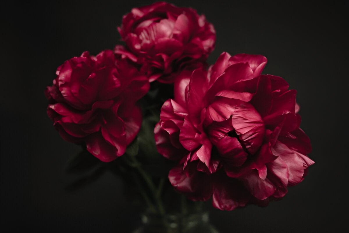 Привітання з днем ангела Ірини, листівка українською Ірині