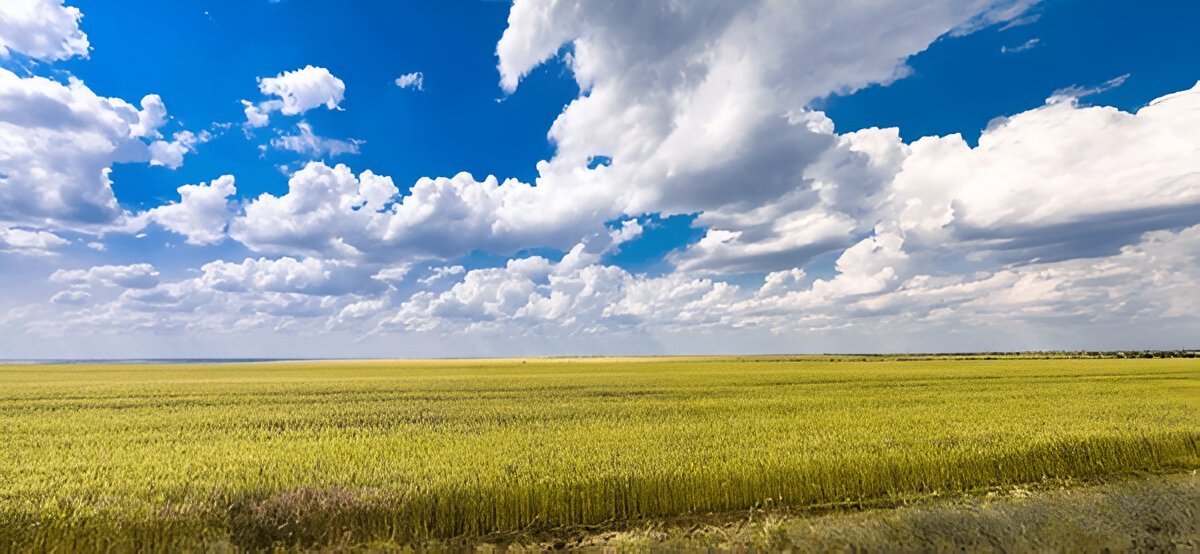Листівка-Привітання з днем народження чеською мовою