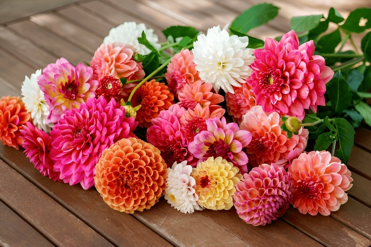 Ювелірка в подарунок