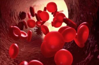 Мієломна хвороба: основні ускладнення та їх лікування Мієломна хвороба: основні ускладнення та їх лікування