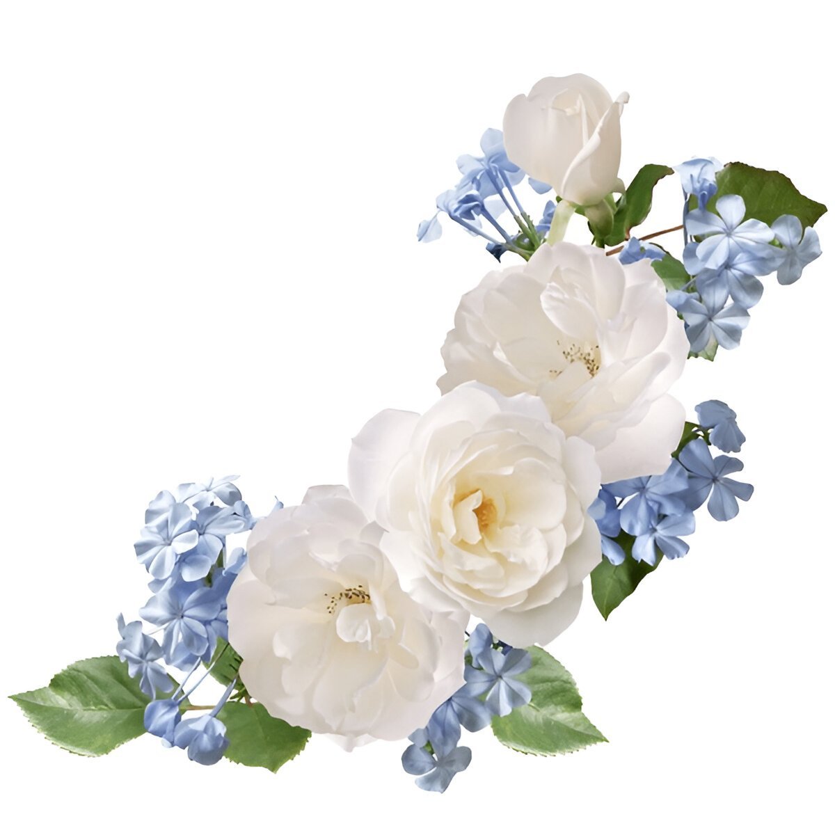 Привітання з днем ангела: Надія