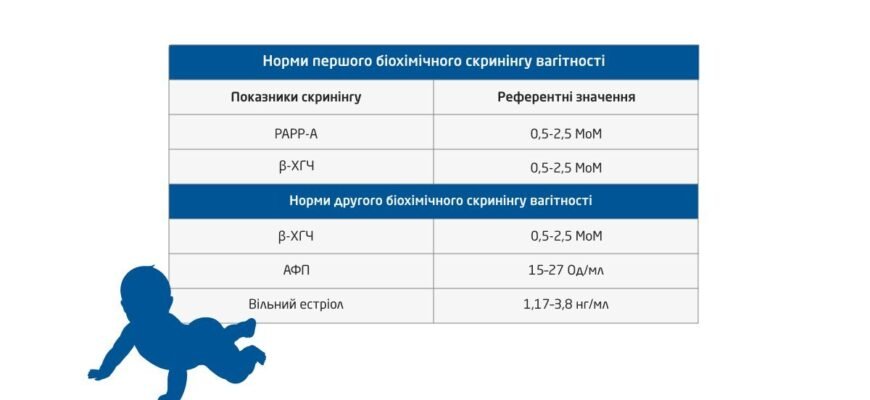 Коли роблять перше УЗД при вагітності: оптимальний період для жінок