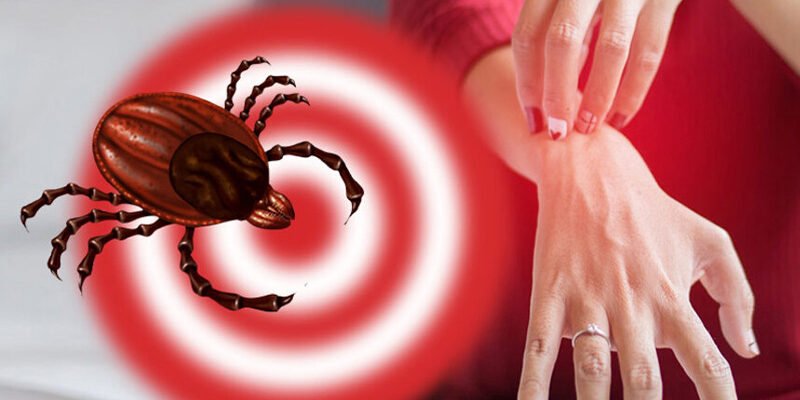 Захворювання: причини, симптоми та методи лікування хвороби