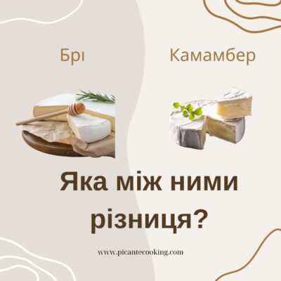 Чим відрізняються сири брі і камамбер: основні відмінності та поради