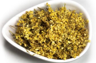 Цвіт бузини: що лікує та які захворювання допомагає подолати?