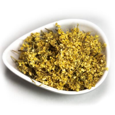 Цвіт бузини: що лікує та які захворювання допомагає подолати?