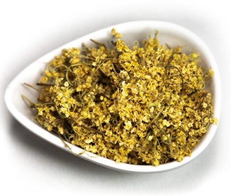 Цвіт бузини: що лікує та які захворювання допомагає подолати?