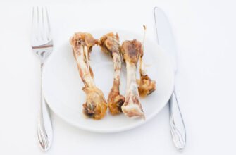 Чи можна собакам свинячі кістки: поради та рекомендації ветеринарів