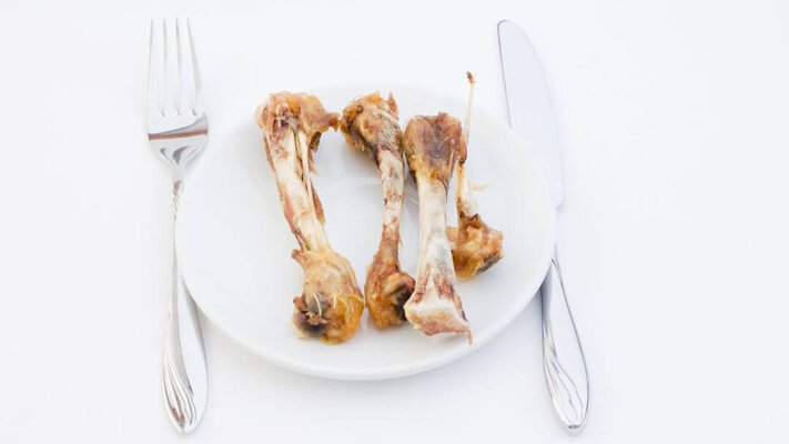 Чи можна собакам свинячі кістки: поради та рекомендації ветеринарів