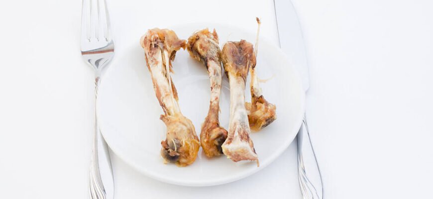 Чи можна собакам свинячі кістки: поради та рекомендації ветеринарів