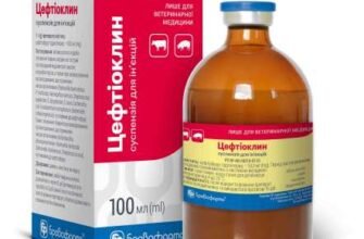 Ефективний антибіотик при інфекції м’яких тканин: вибір та застосування