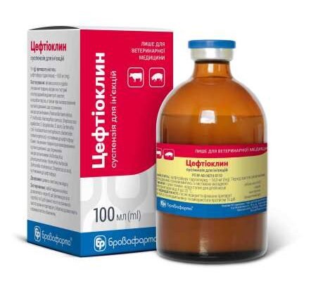 Ефективний антибіотик при інфекції м’яких тканин: вибір та застосування Ефективний антибіотик при інфекції м’яких тканин: вибір та застосування