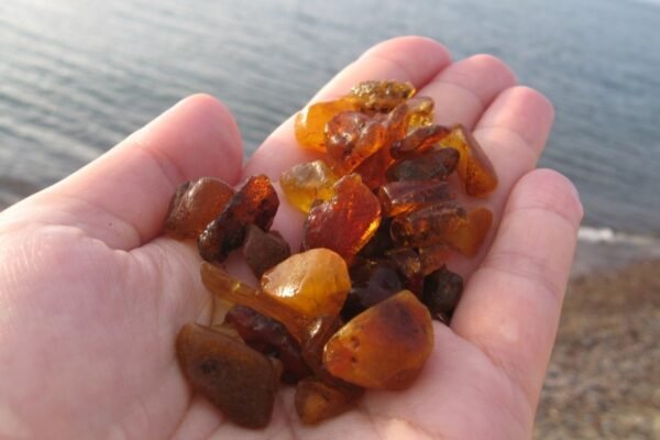 Постанова: Як Вона Впливає на Вашу Щоденність та Юридичні Права