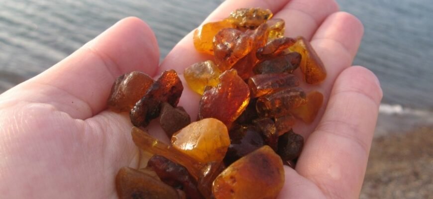 Постанова: Як Вона Впливає на Вашу Щоденність та Юридичні Права