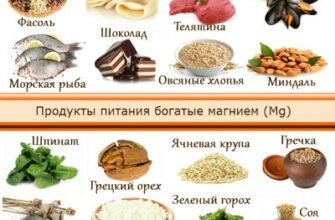 Дієта 5 при жовчнокам’яній хворобі: поради та рекомендації для здоров’я