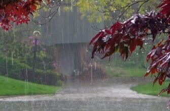 Початківцям: Перші кроки у програмуванні для успішного старту кар’єри