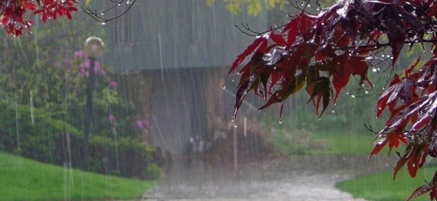 Загадкова сила променів: розкриття таємниць світлових явищ