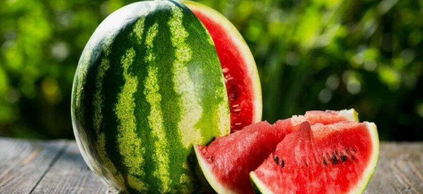 Роса: всі секрети та наукові факти, які варто знати кожному