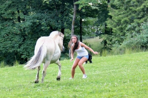 Що таке простір: визначення, характеристики та значення для науки