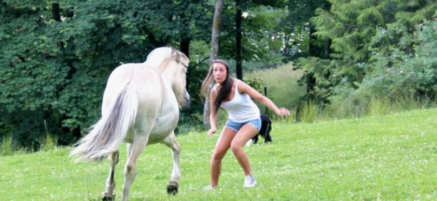 Вплив і значення мови у суспільстві: роль комунікації та розвитку