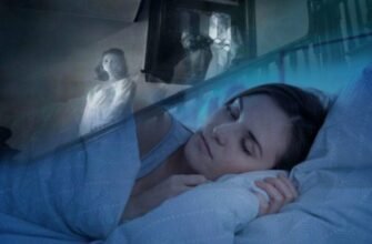 Службові слова в українській мові: роль і правильне вживання