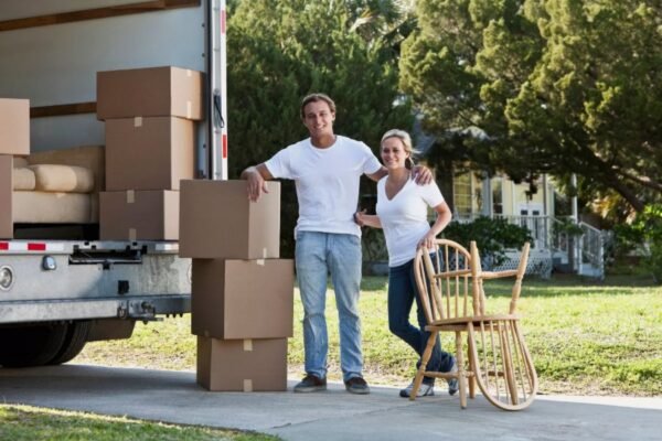 Що таке сельва: унікальні риси і важливість амазонських лісів