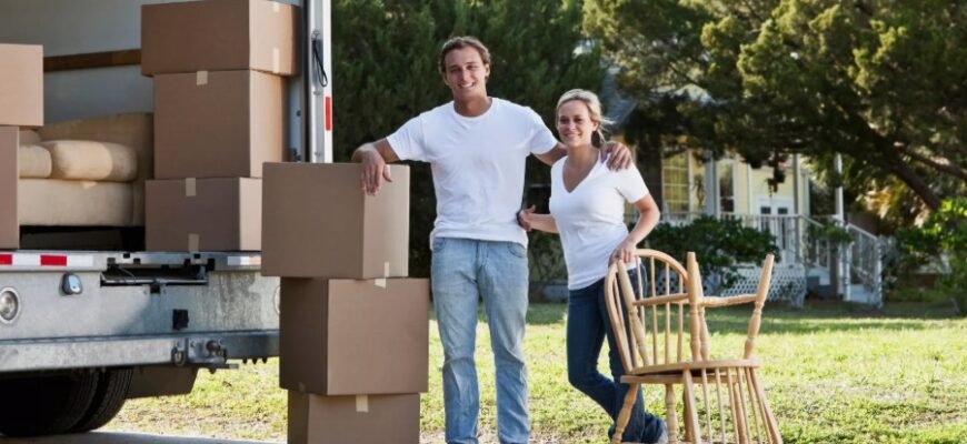 Що таке сельва: унікальні риси і важливість амазонських лісів