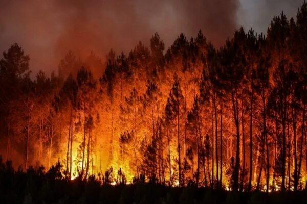 Розкриття таємниць проекту 88000: ваш гід у світі невідомого