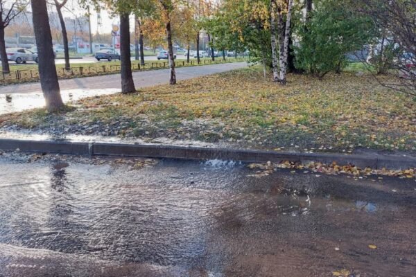 Що таке розчин: визначення, поняття та основні характеристики