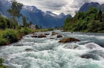 Розкриваємо всі аспекти ради на Gospodar: корисні поради та огляди