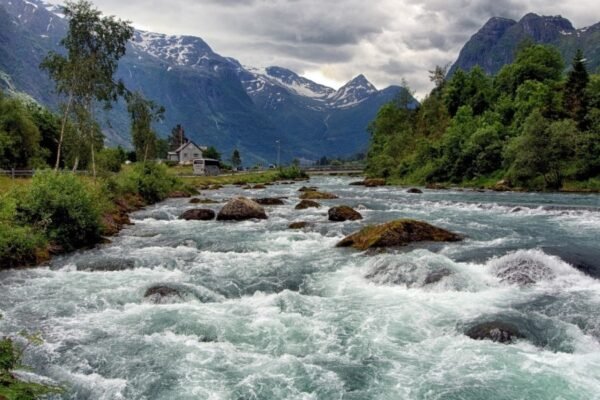 Ринкова економіка: визначення, принципи та ключові особливості системи