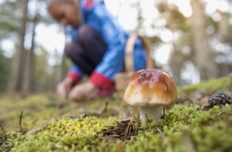H1: Розкриваємо поняття простору: характеристика та значення поняття