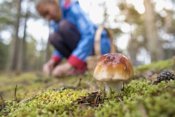 H1: Розкриваємо поняття простору: характеристика та значення поняття