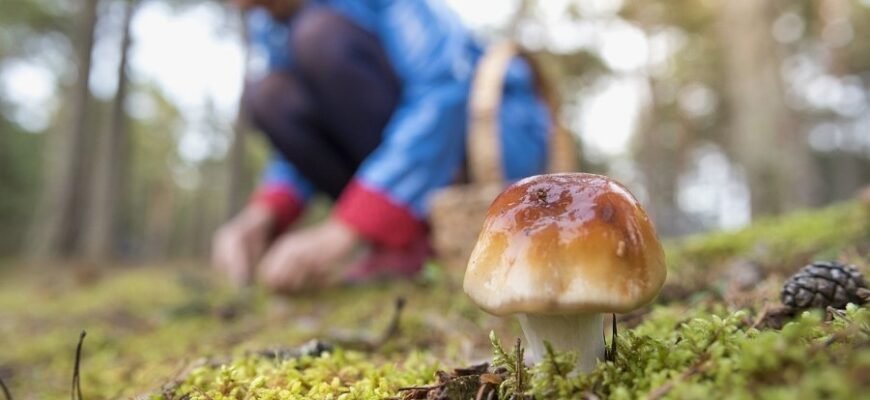 H1: Розкриваємо поняття простору: характеристика та значення поняття