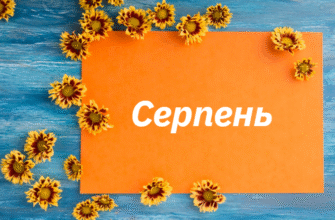 Зміни в банківській системі з 1 серпня: що варто знати клієнтам?