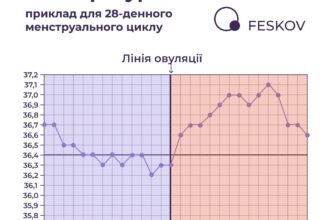 Як змінюється базальна температура при вагітності: ключові особливості