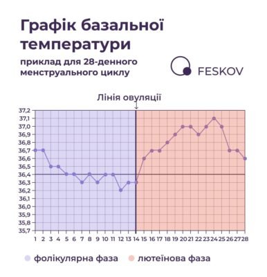 Як змінюється базальна температура при вагітності: ключові особливості