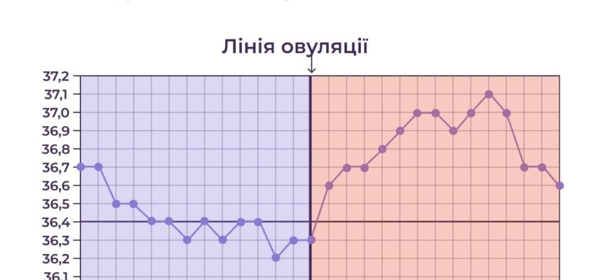 Як змінюється базальна температура при вагітності: ключові особливості
