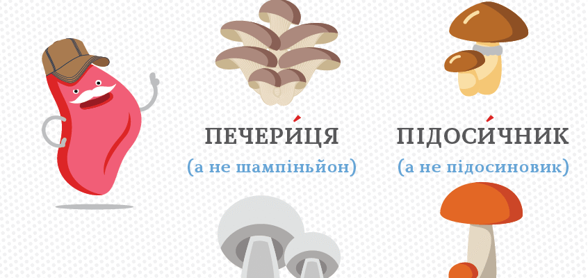У чому різниця між печерицями і шампіньйонами? Порівняння грибів