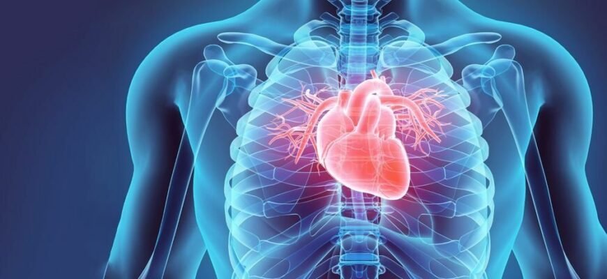 Як називається хвороба серця: огляд основних термінів