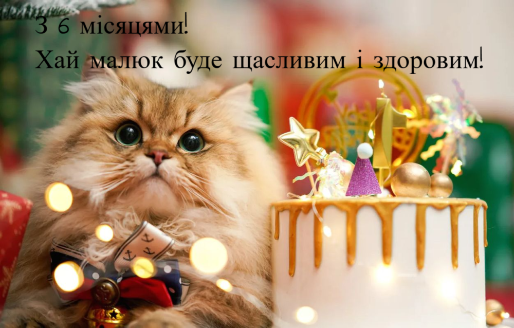 Фото хлопчика отримало хороший відпочинок