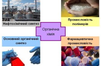 Які продукти утворюються при горінні органічних речовин?