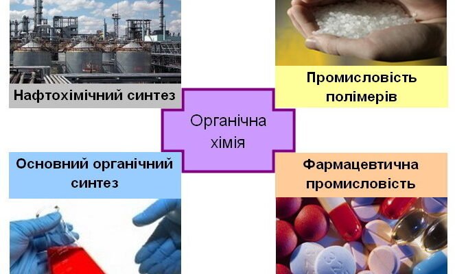 Які продукти утворюються при горінні органічних речовин?