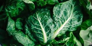 Чи можна їсти квашені огірки при цукровому діабеті: поради лікарів