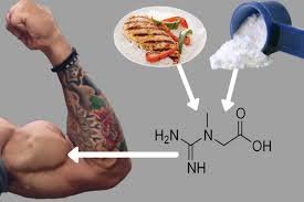 Чи можна пити креатин на ніч: вплив та ефективність використання