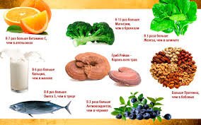 Що лікує гриб рейші: корисні властивості для здоров’я та імунітету